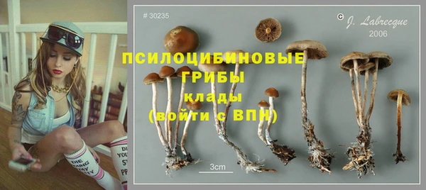 ешки Михайлов