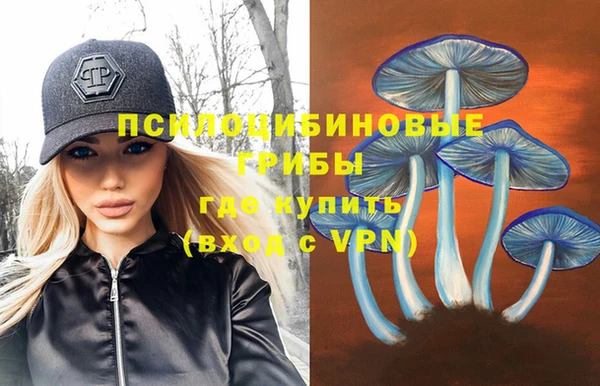 ешки Михайлов