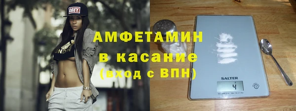 прущие грибы Михайловск