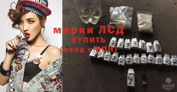прущие грибы Михайловск