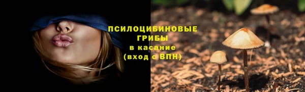 таблы Бикин