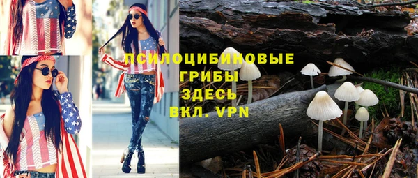 ешки Михайлов