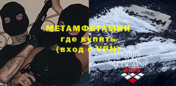 прущие грибы Михайловск