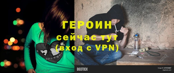 прущие грибы Михайловск