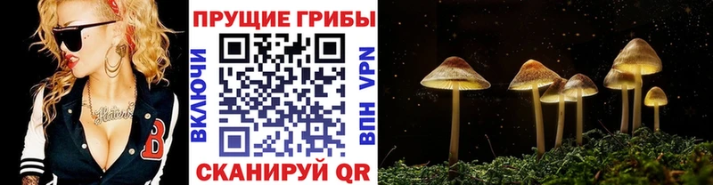 Галлюциногенные грибы Magic Shrooms  Калуга 