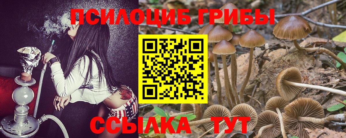 А ПВП Калуга