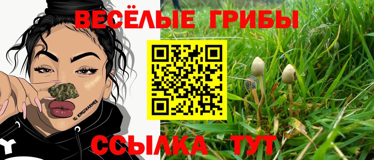 Галлюциногенные грибы GOLDEN TEACHER Калуга